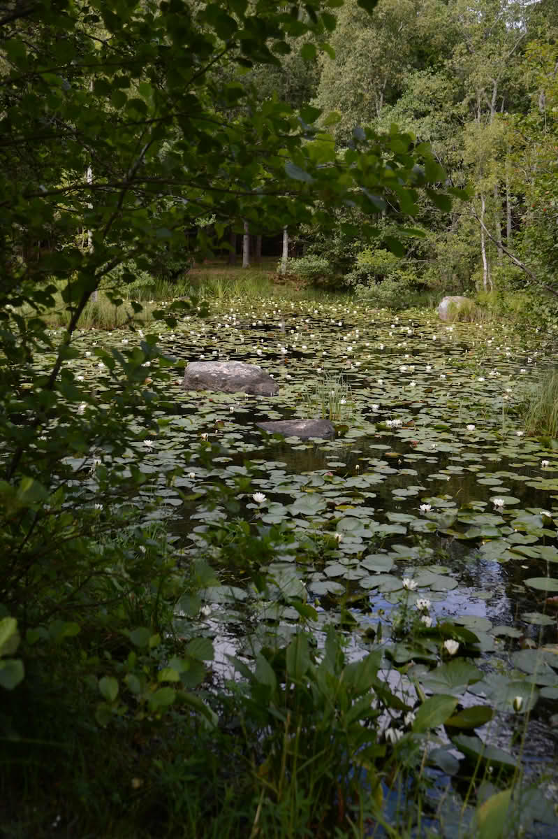 Tjernet på Jomfruland