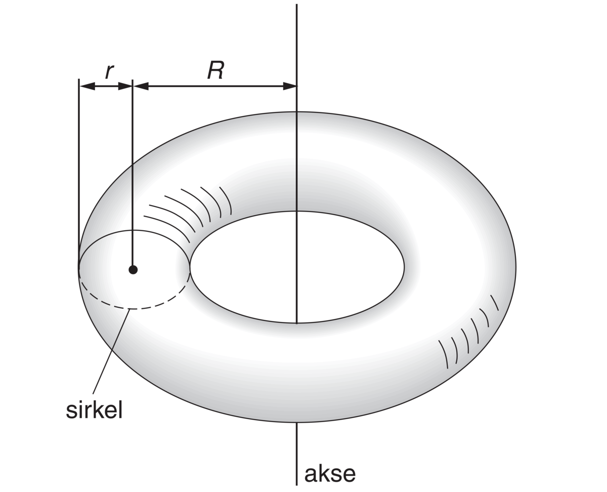 Torus