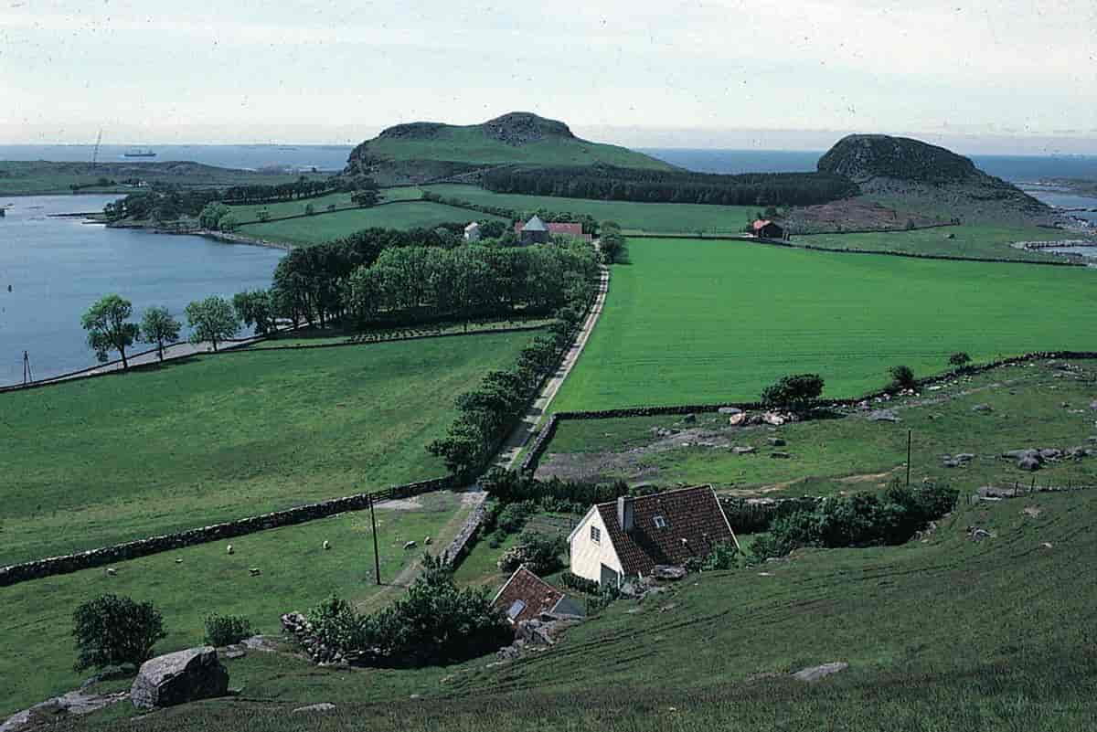 Rennesøy