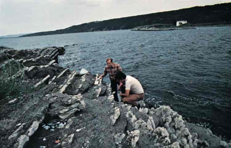 Sedimentære bergarter