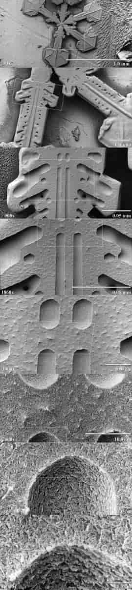 Snøkrystall i elektronmikroskop