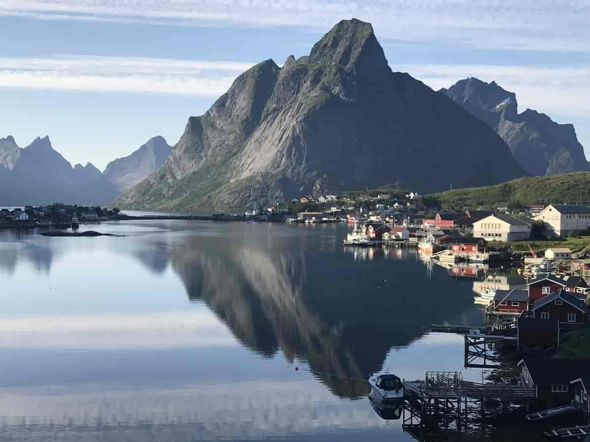 Reine