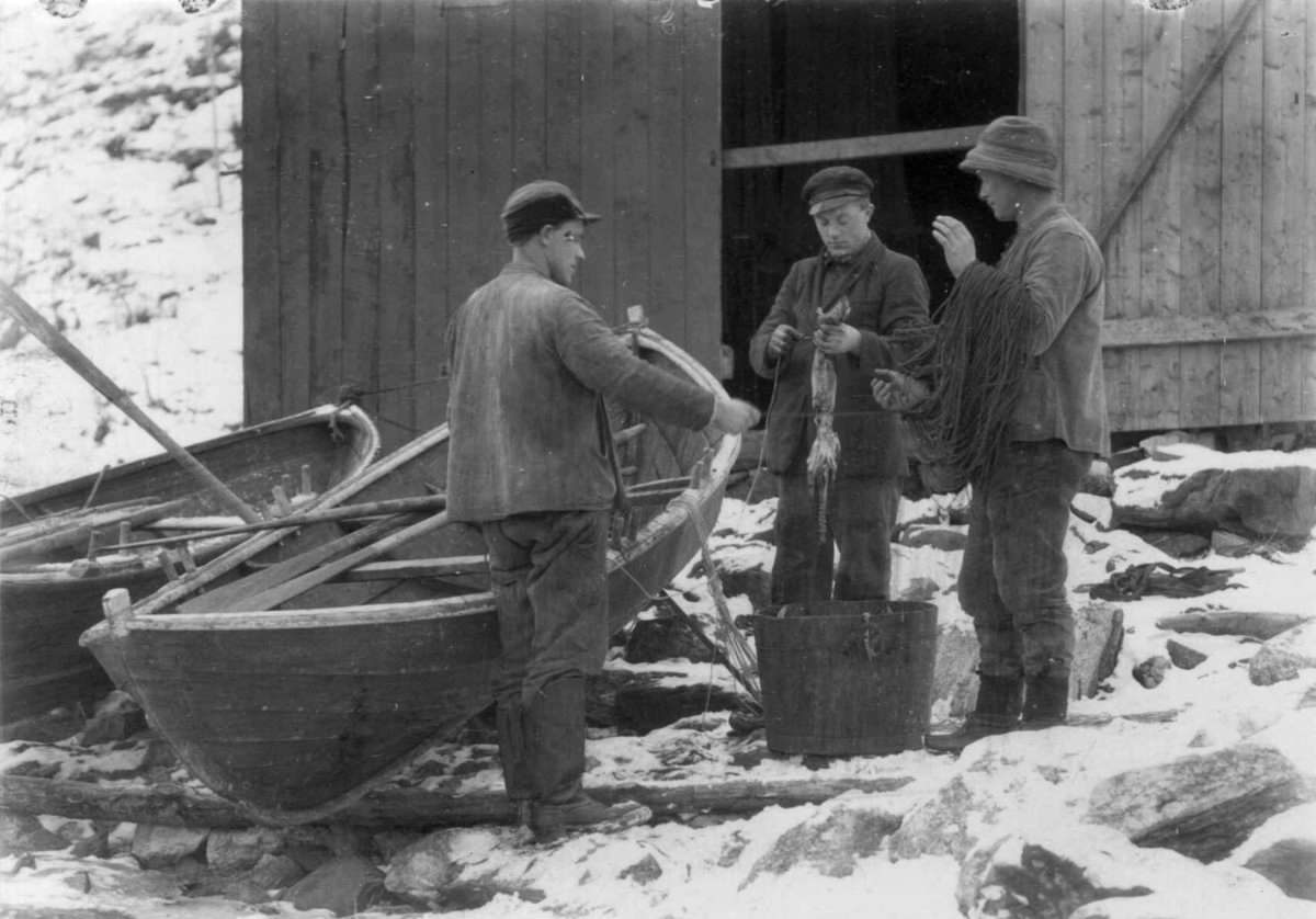Egning av line i Sørfold, Nordland. Mannen i midten holder en akkar