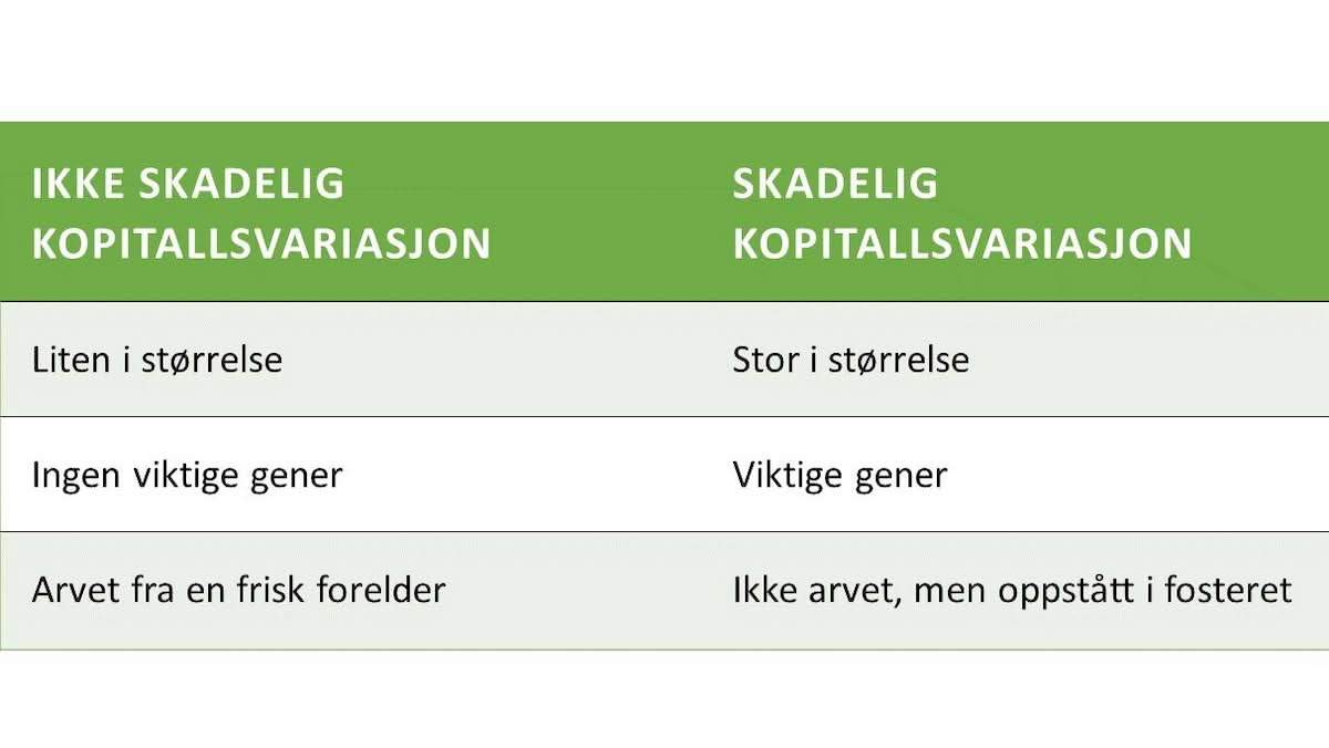 Kopitallsvarisjon og sykdom hos menneske.
