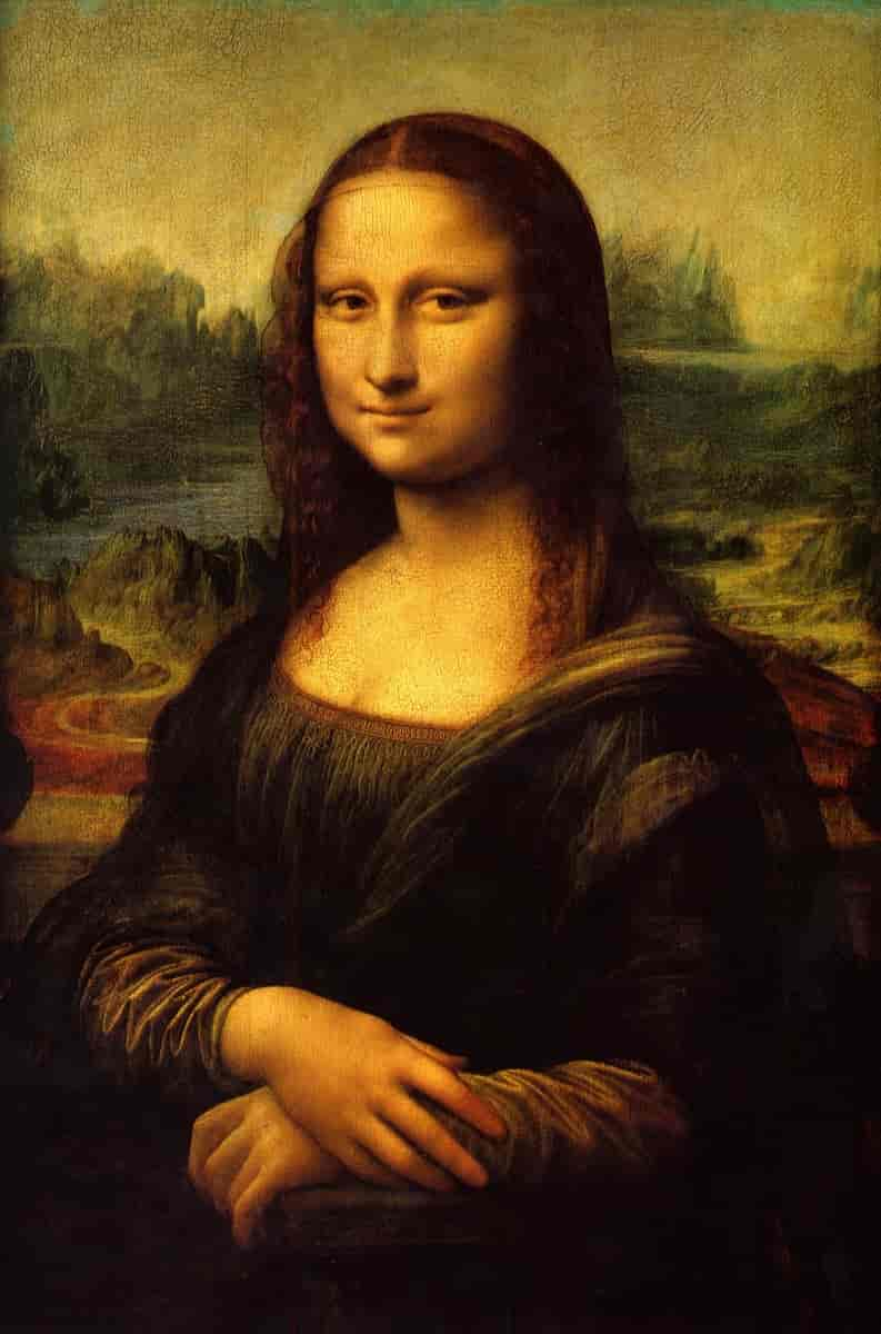 Mona Lisa sitter med hendene foldet pent foran seg, og hun ser rett fram, som om hun holder øyekontakt. Ansiktet hennes er rolig, med et mildt og lite smil. Smilet er forsiktig, nesten gåtefullt, og det er dette lille smilet som gjør henne så spesiell og kjent.

Hun er kledd i en enkel kjole med myke folder, og skuldrene er dekket av et slør. Håret hennes er mørkt og bølger seg nedover, men er dempet og ikke for prangende. Bak henne er det et landskap med fjell, elver og daler. 