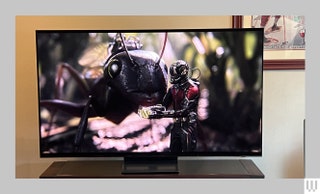 Large screen tv showing a movie scene of a miniature human beside a bug