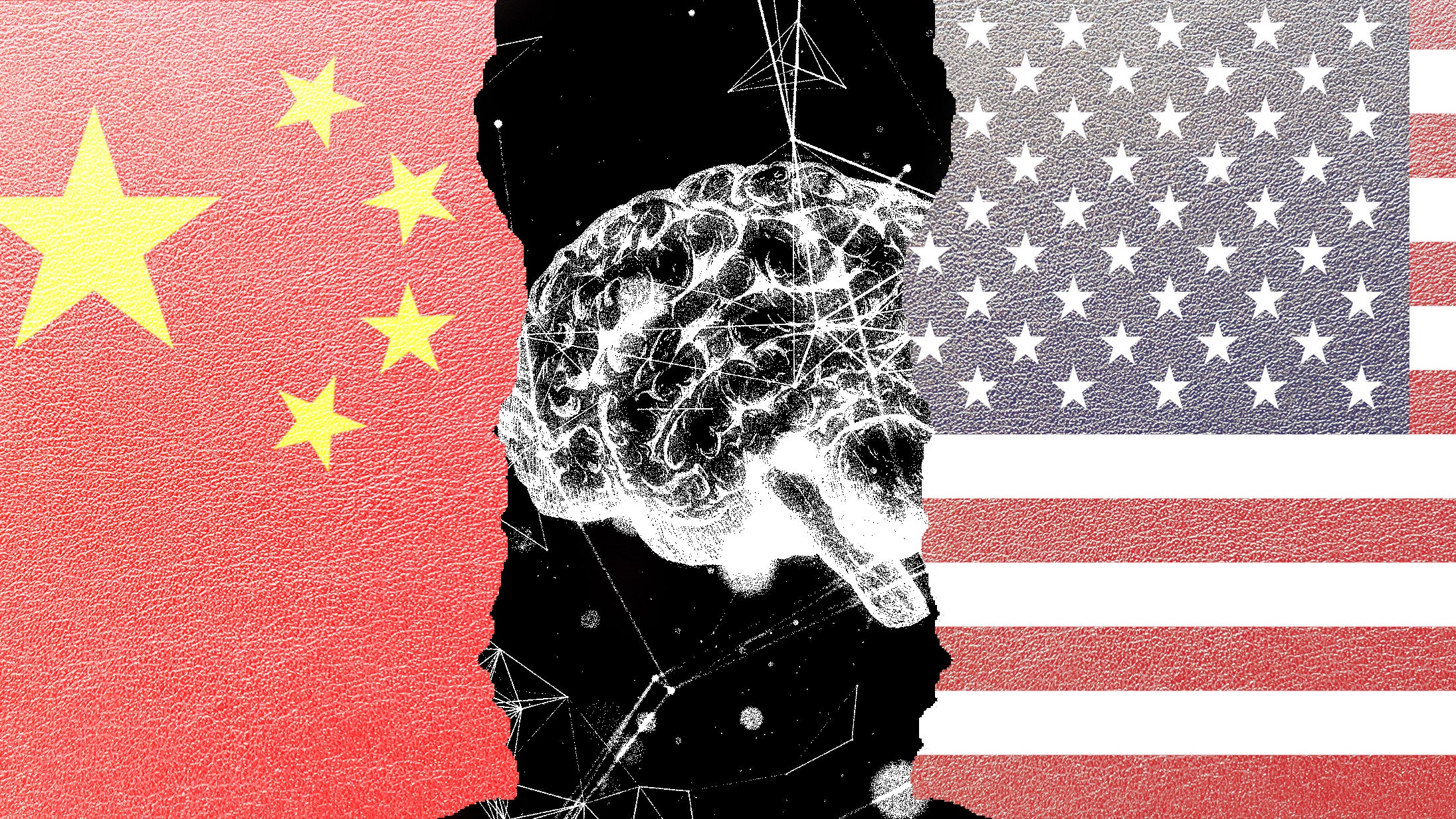 A photo collage of the Chinese and American flags with a brain showing in between the two.