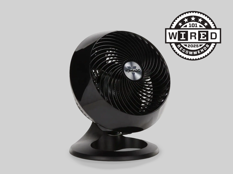 Black Indoor Fan