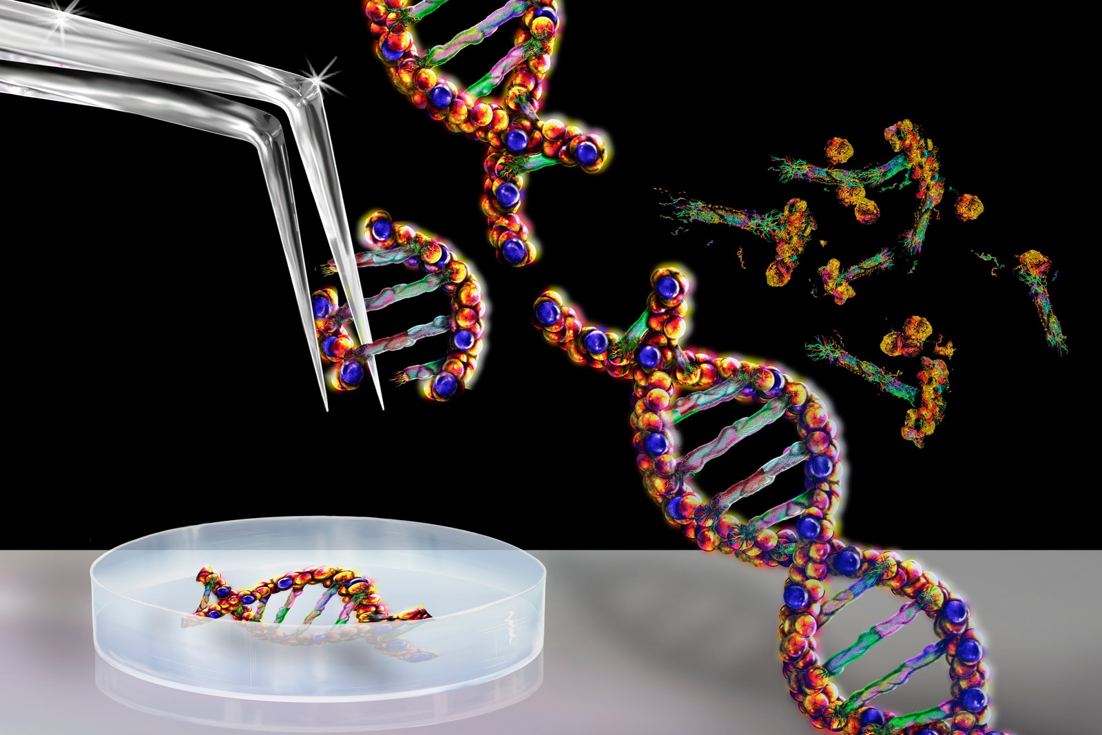 The First Crispr Treatment Is Making Its Way to Patients