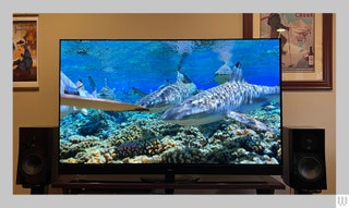 Front view of a Panasonic Z95A OLED TV the screen showing a vivid underwater scene of coral and fish