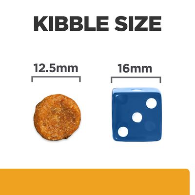 Kibble Size felirat, balra 12,5 mm-es táp szemcse, jobbra 16 mm-es kék dobókocka méret-összehasonlításként.
