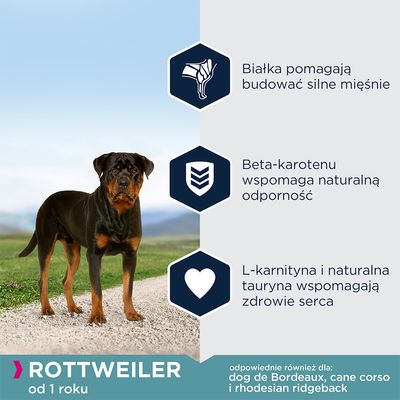 Rottweiler od 1 roku. Białka pomagają budować silne mięśnie, beta-karotenu wspomaga naturalną odporność, L-karnityna i tauryna wspomagają zdrowie serca. Odpowiednie również dla: dog de Bordeaux, cane corso, rhodesian ridgeback.