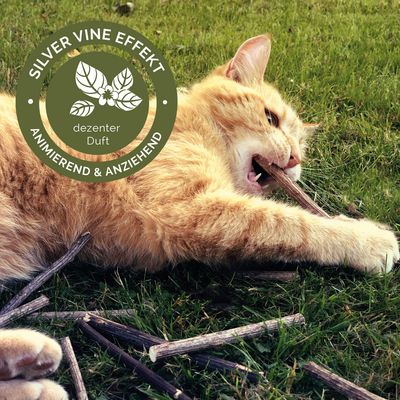 Mačka na travi sa Silver Vine Sticks. Tekst: Silver Vine efekt, poticajno i privlačno, suptilan miris.