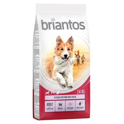 Briantos Adult con salmón y arroz, 14 kg. Para las necesidades de tu perro: pelaje brillante, alta tolerancia, Made in Germany.