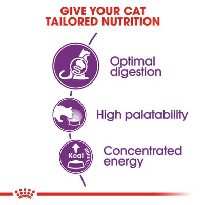 Key benefits shown: optimal digestion, high palatability, and concentrated energy for tailored cat nutrition.
