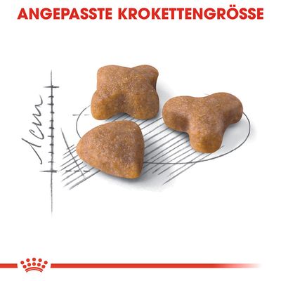 Angepasste Krokettengrösse mit drei verschiedenen Formen, jeweils etwa 1 cm gross. Skizze zeigt Massstab und Design der Kroketten.