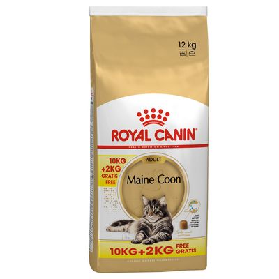 Royal Canin Adult Maine Coon Katzenfutter. Speziell angepasste Krokette und Unterstützung der Gelenke. Breed Nutrition für Maine Coon Katzen.