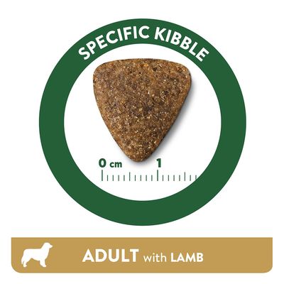 Trozo de pienso seco con cordero para perros adultos, tamaño aprox. 1 cm, rodeado por un círculo verde con el texto 'Specific Kibble'.