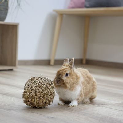 Conejo marrón junto a una pelota de material natural trenzado sobre suelo de madera. Producto para el entretenimiento de pequeños animales.