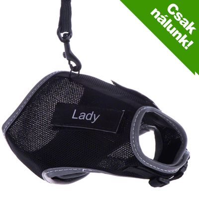 Fekete kutyahám, rajta „Lady” felirattal. Sarokban zöld mezőben: Csak nálunk!