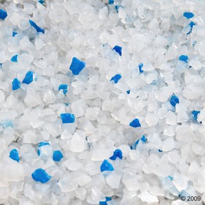 Close-up of white and blue silica litter crystals, suitable for use in cat litter boxes.