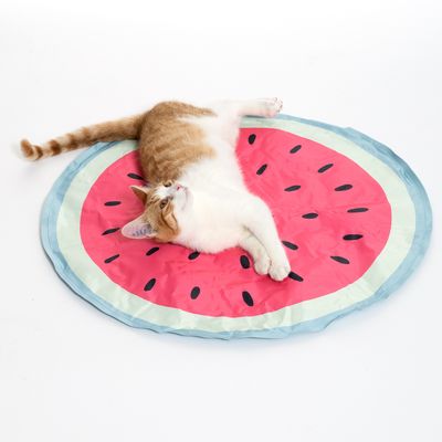 Rote und weisse Katze liegt auf einer runden Matte im Wassermelonen-Design.