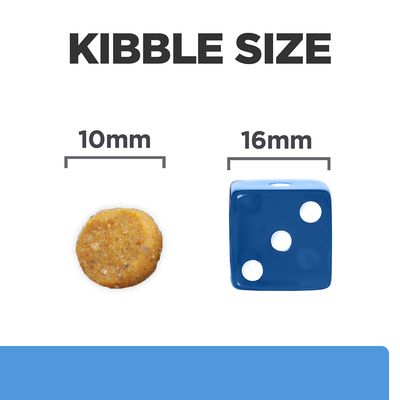 Kibble Size felirat, balra 10 mm-es táp szemcse, jobbra 16 mm-es kék dobókocka méret-összehasonlításként.