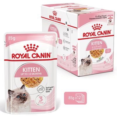 Royal Canin Kitten aszpikban