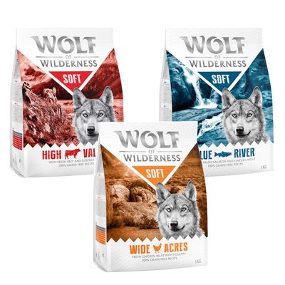 Wolf of Wilderness kutyatáp csomagok: Blue, Sunny, Wild, Green Fields. 100% grain-free recipe. Próbálja ki! felirat narancssárga körben.