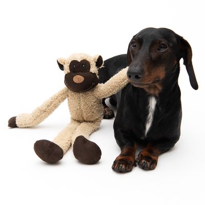 Juguete de peluche en forma de mono con detalles marrones junto a un perro negro. Juguete para mascotas.