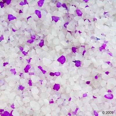 Close-up of white and violet silica crystals, suitable for cat litter.