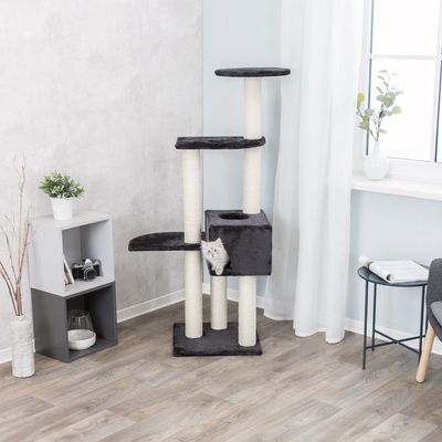 Cat tree with four levels, sisal posts and a cave. Small cat sitting in the cave.