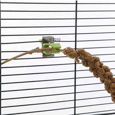 Green clip attached to cage bars holding a millet spray, demonstrating how to secure treats or food inside a pet cage.