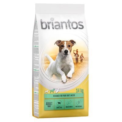 Briantos Adult Mini pienso para perros, 14 kg, cordero y arroz, croquetas pequeñas, alta tolerancia.