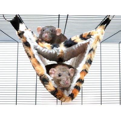 Two rats in a hammock with tiger fur pattern, attached to a metal cage.