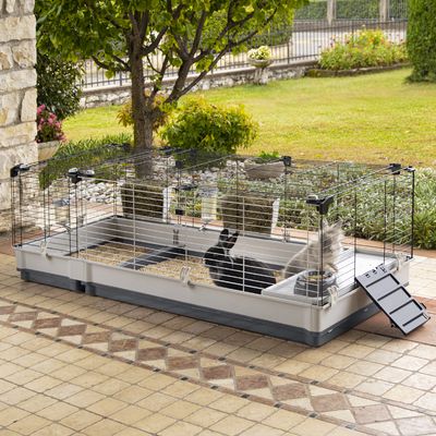 Nagy ketrec fémráccsal és műanyag aljjal, alkalmas kisállatok számára. Két etetőterület, alom és rámpa. Két állat látható a ketrecben.