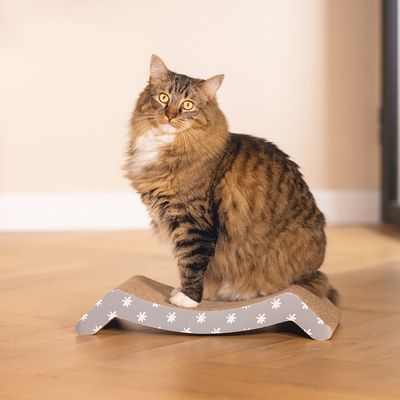Braun getigerte Katze sitzt auf einem grauen Kratzbrett mit weissen Blumenmustern, geeignet für Krallenpflege und Spiel.