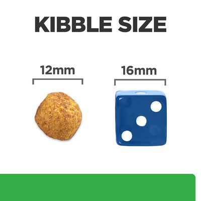 Kibble Size felirat, balra 12 mm-es táp szemcse, jobbra 16 mm-es kék dobókocka méretösszehasonlításként