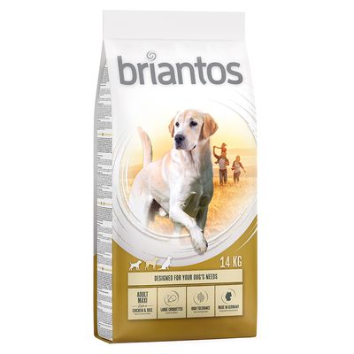 Briantos Adult Maxi, 14 kg, con pollo y arroz. Croquetas grandes, alta tolerancia, fabricado en Alemania.