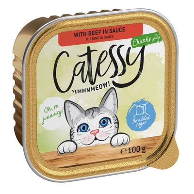 Catessy macskaeledel marhával szószban, 100g. Hozzáadott cukor nélkül. A csomagoláson szürke, kék szemű macska, valamint 'Oh, so yummy!' és 'Chunks in gravy' felirat.