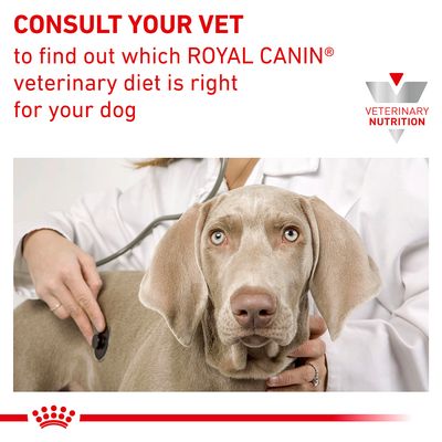 CONSULT YOUR VET to find out which ROYAL CANIN veterinary diet is right for your dog. VETERINARY NUTRITION (angol nyelvű szöveg a képen).