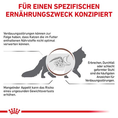 Grafik zeigt Verdauungsstörungen bei Katzen: Symptome wie Erbrechen, Durchfall und Appetitverlust können zu Gewichtsverlust führen. Hinweis auf spezifische Ernährungslösungen.