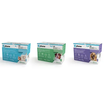 Zylkene táplálékkiegészítő kutyáknak és macskáknak három kiszerelésben: 10 kg-ig, 10-30 kg, 15-60 kg. Stresszhelyzetekben támogatja a jóllétet. Vetquinol márka. Zylkene táplálékkiegészítő kutyáknak és macskáknak három kiszerelésben: 10 kg-ig, 10-30 kg, 15-60 kg. Stresszhelyzetekben támogatja a jóllétet. Vetquinol márka.