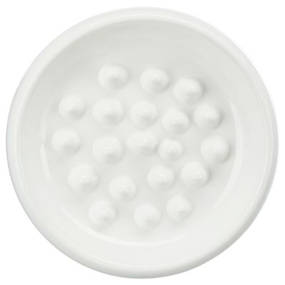 Weisse Futterschale mit erhöhten Noppen zur Verlangsamung der Fressgeschwindigkeit.