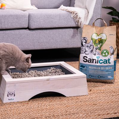 Sanicat Recycled Cellulose arena para gatos, 10L, junto a un arenero de madera con un gato gris. El envase muestra el símbolo de reciclaje y un motivo de gato.