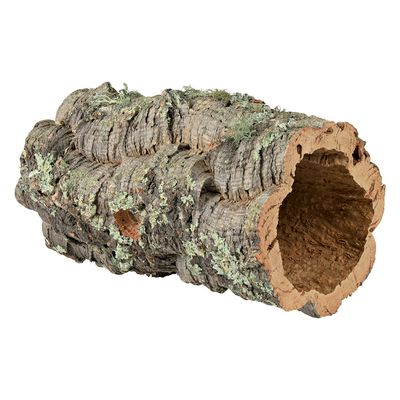 Tubo de corcho natural con musgo y superficie rugosa, adecuado como escondite o decoración para terrarios.