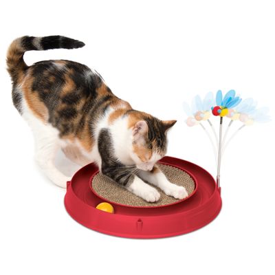 Cat toy: red scratching playground with cardboard scratching surface, yellow ball and feather flower decoration. Cat demonstrates product use.