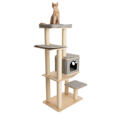 Cat tree with multiple levels, sisal posts and padded resting areas. Integrated cave with paw motif. Cat sitting on top platform.