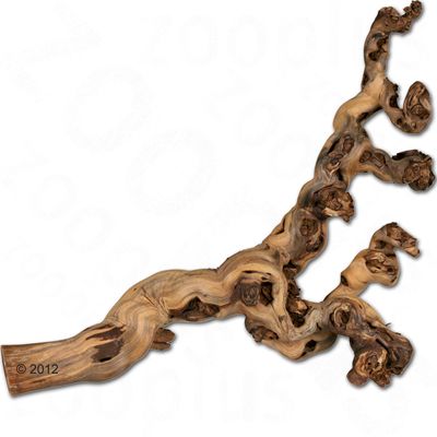 Trozo de madera natural con ramas ramificadas y formas curvas, apto para decoración o accesorios para animales.
