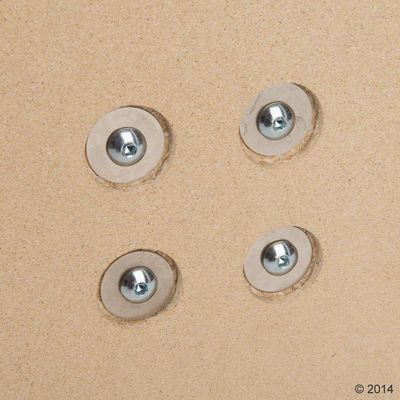 Close-up of four metal screws with washers embedded in a wooden board.